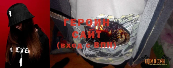 индика Осташков