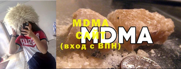 индика Осташков