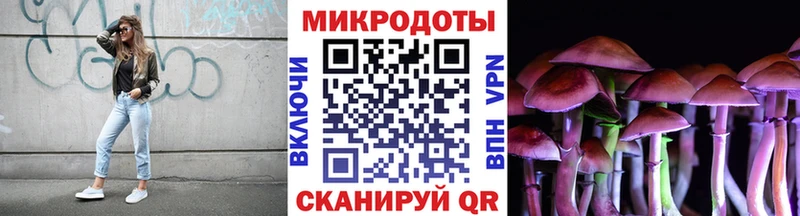 Галлюциногенные грибы прущие грибы  Купить  Сосновка 