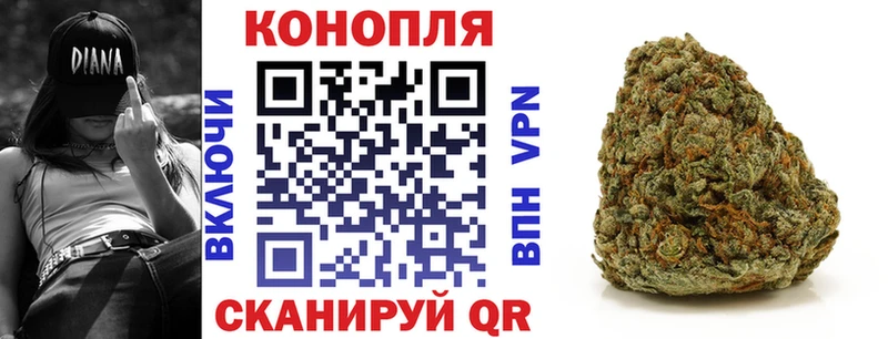 Конопля гибрид Сосновка